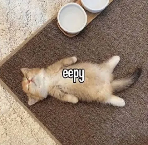 Котёнок лежит на коврике