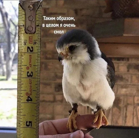 Таким образом, я очень смол