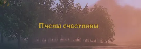 Пчелы счастливы на закате