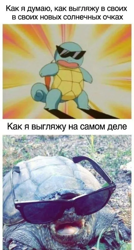 Как я выгляжу в солнечных очках