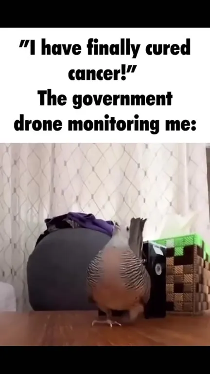 Government Drone Monitoring Me