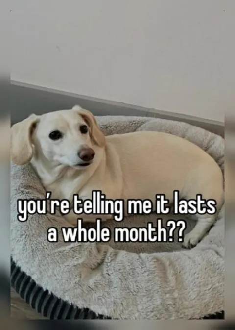 A Whole Month?!