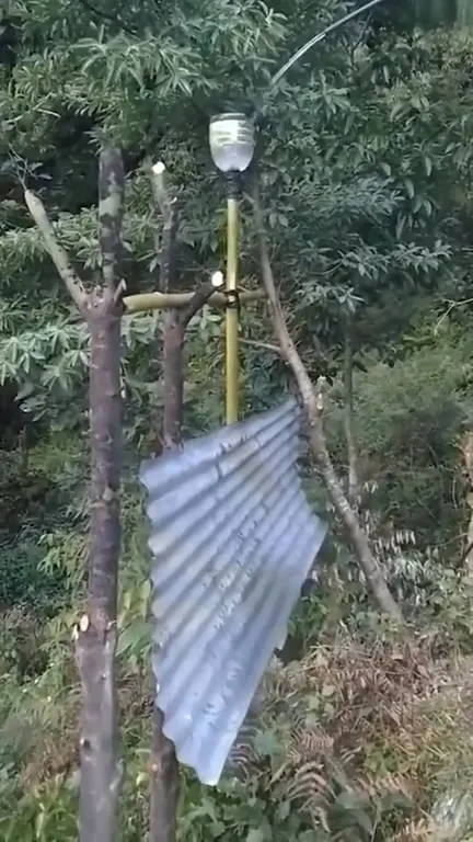 Самодельная ловушка в лесу