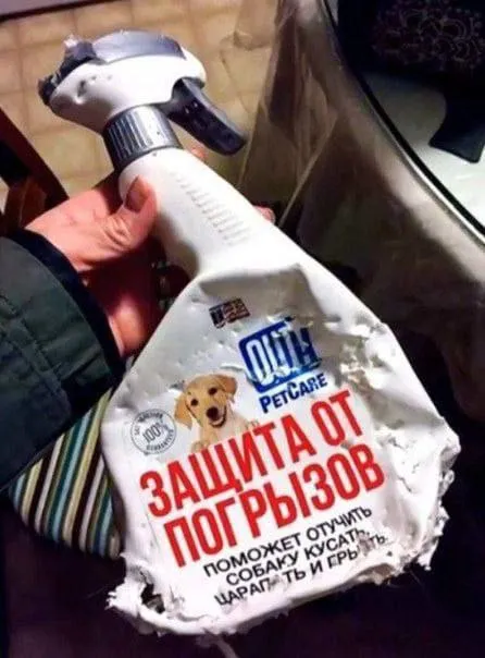 Защита от погрызов не сработала