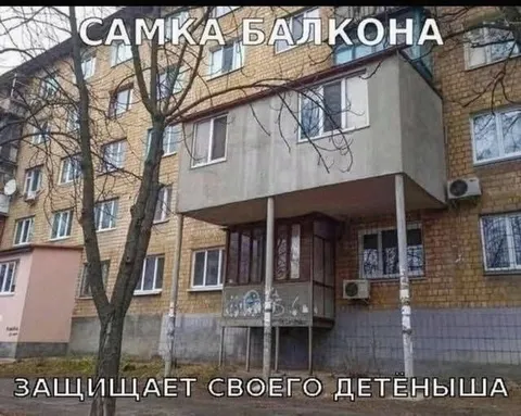 Самка балкона защищает детёныша