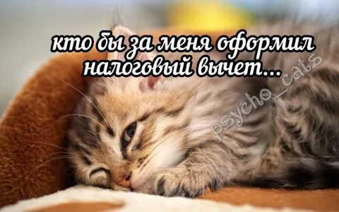Кто бы оформил налоговый вычет