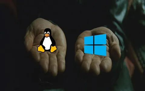 Выбор между Linux и Windows