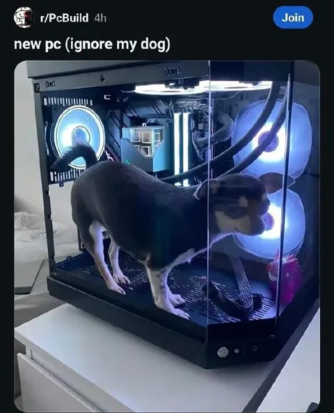 New PC Ignore My Dog