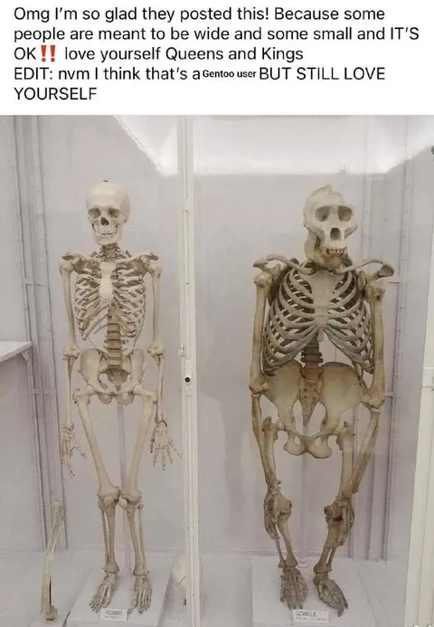 Wide Skeleton and Small Skeleton