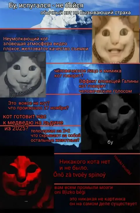 Зловещий кот за спиной
