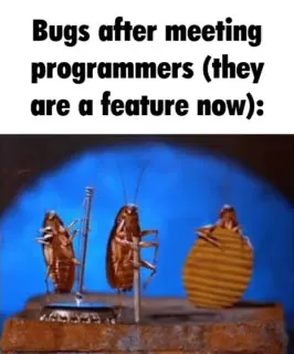 Bugs After the Programmers Meeting