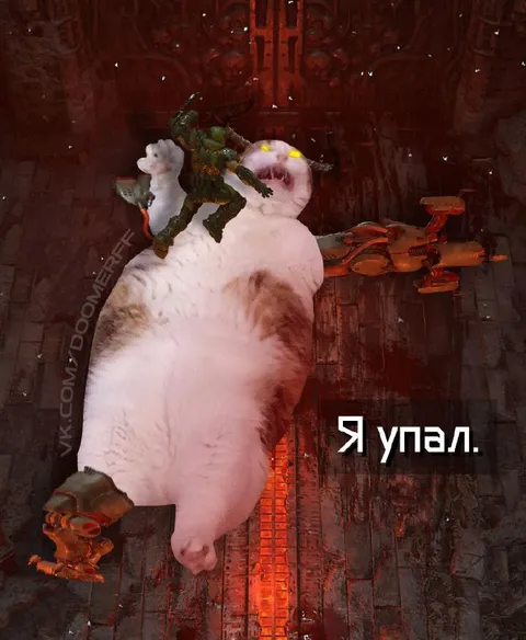 Я упал на кота