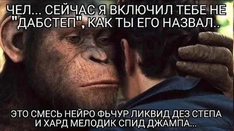 Когда включил дабстеп другу