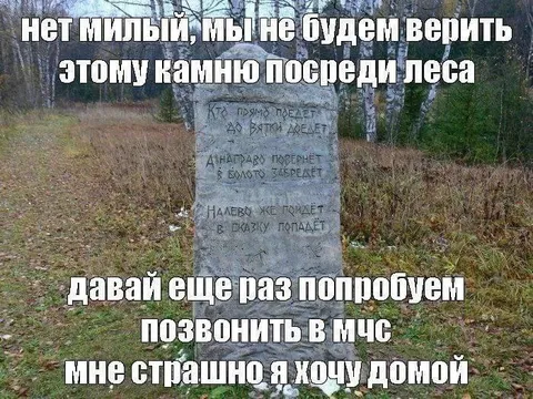 Камень посреди леса