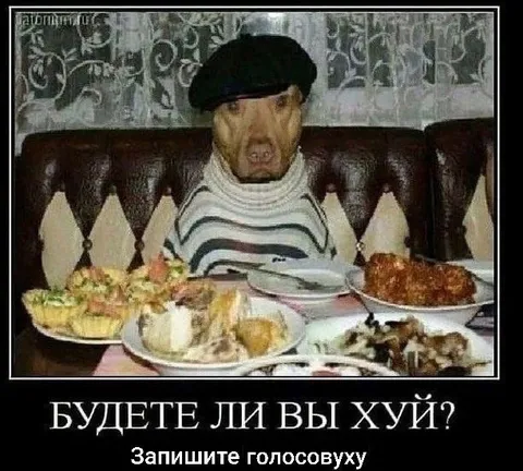 Будете ли вы хуй?