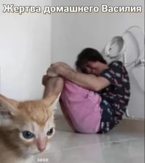 Жертва домашнего Василия