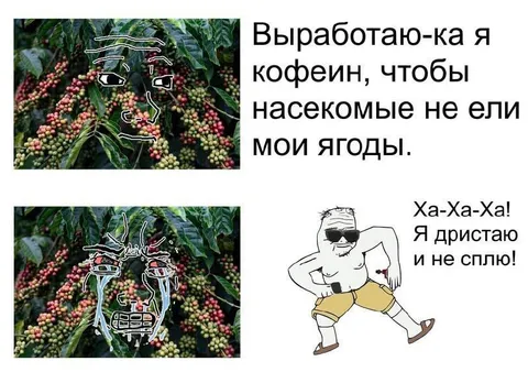 Кофеин против насекомых