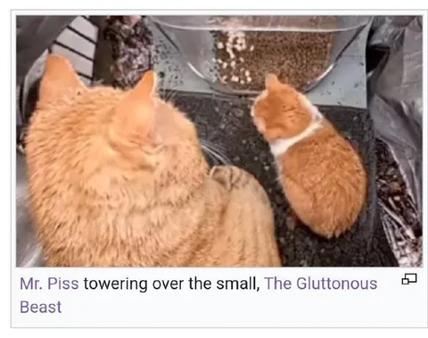 Mr. Piss and the Gluttonous Beast
