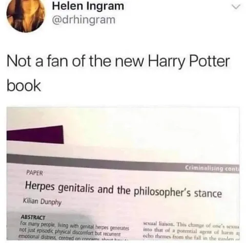 New Harry Potter Book Criticism
