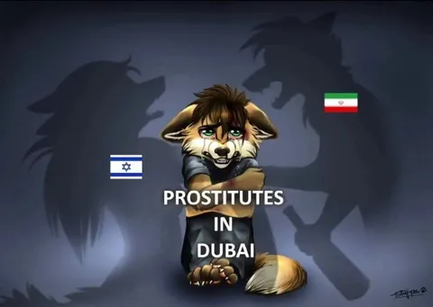 Prostitutes in Dubai Wolf Meme