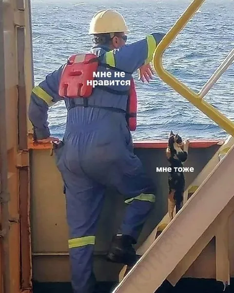 Мне не нравится, мне тоже