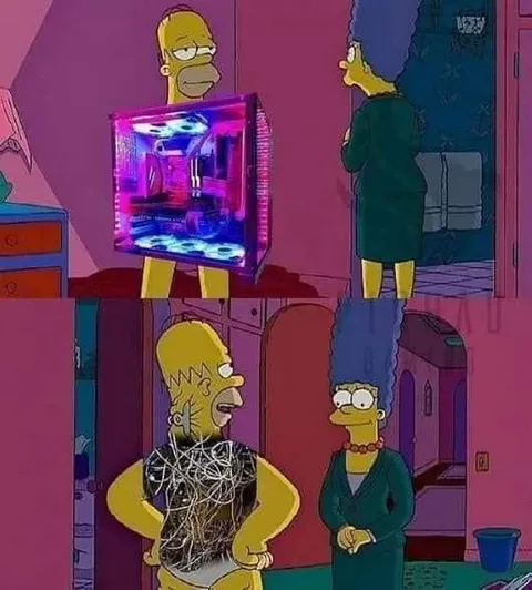 Хомер и компьютерные провода
