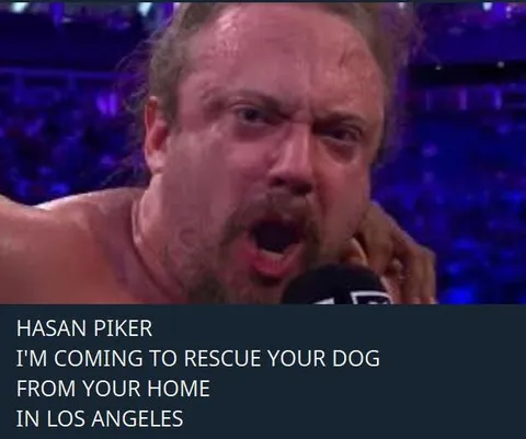 Coming to Rescue Your Dog