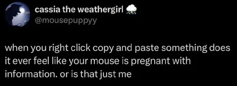 Pregnant Mouse With Information