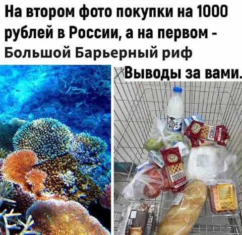 Покупки на тысячу и Большой Барьерный риф
