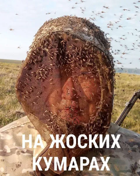 На жоских кумарах