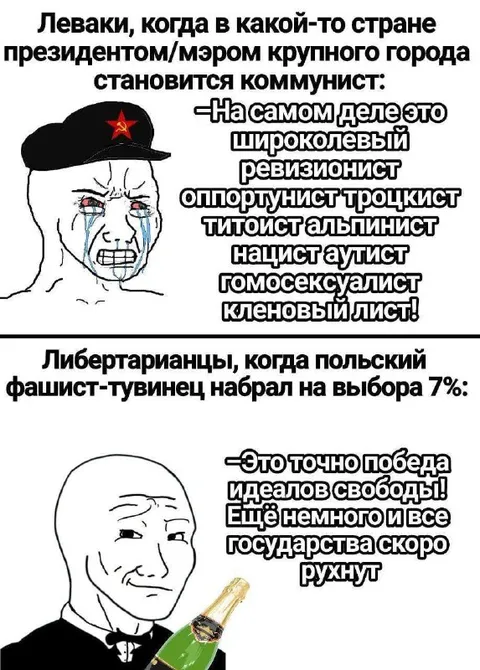 Леваки и либертарианцы