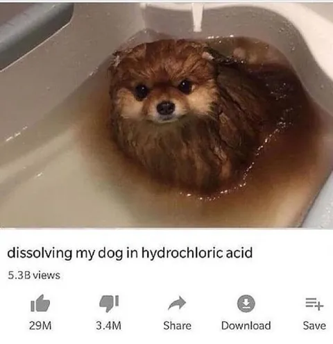 Dissolving My Dog in Acid