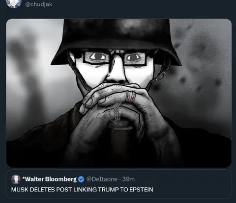 Musk Deletes Trump Epstein Post