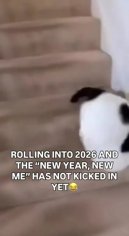 New Year New Me Still Rolling