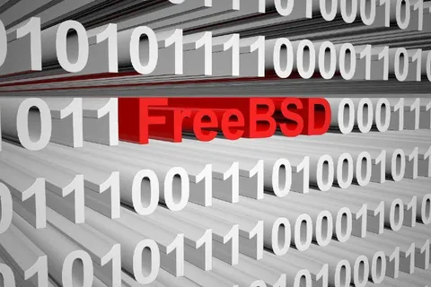 FreeBSD in Binary