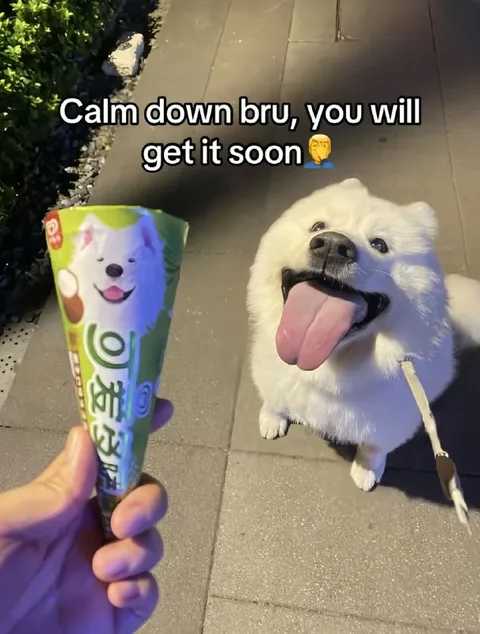 Calm Down Bro, You’ll Get It Soon