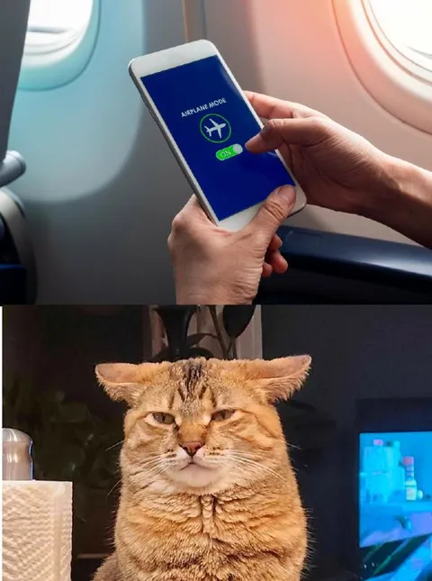 Airplane Mode Cat