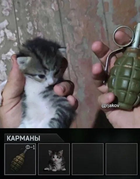 Карманная граната или котёнок
