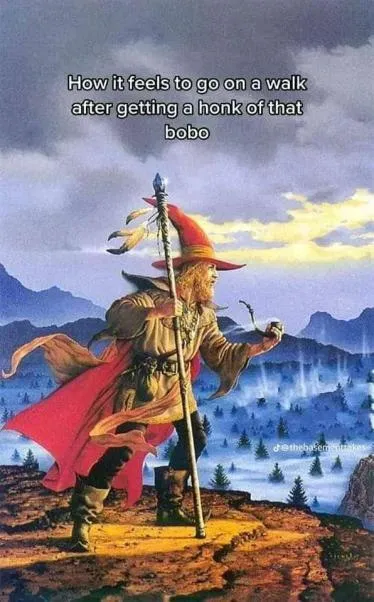 Walk After a Bobo Honk