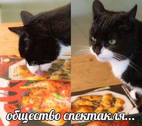Общество спектакля и пицца
