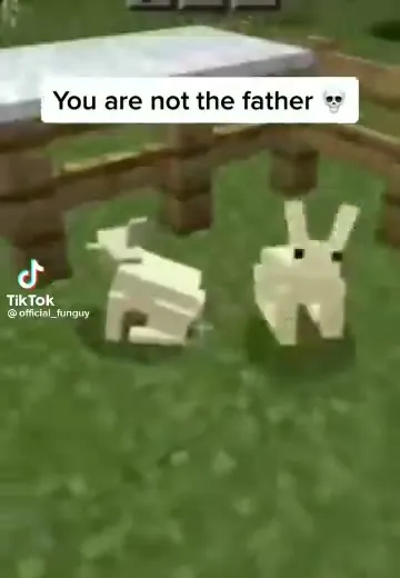 You Are Not the Father Rabbit