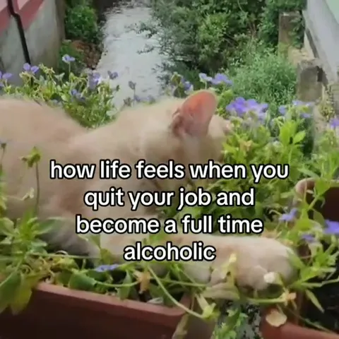 Life After Quitting Your Job
