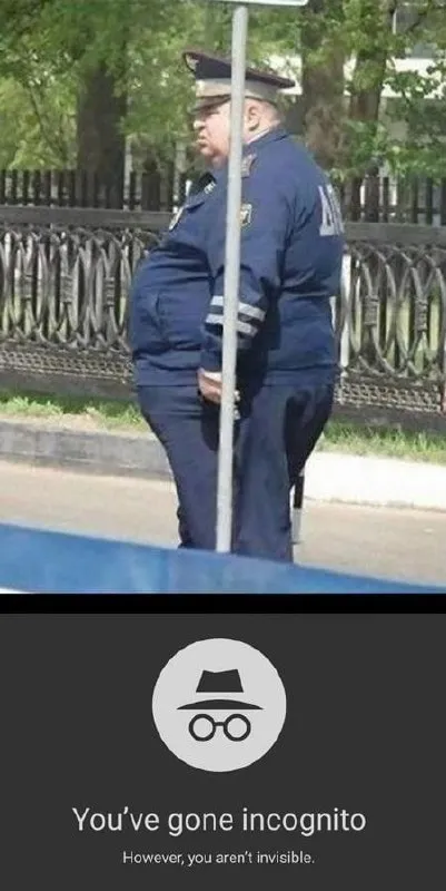 Incognito but Not Invisible