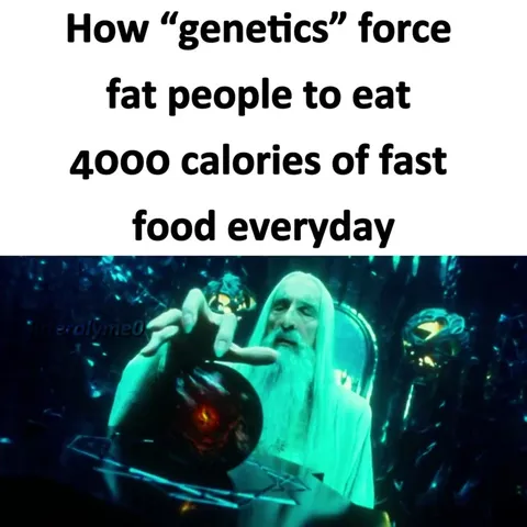 Genetics Forces Fast Food Addiction