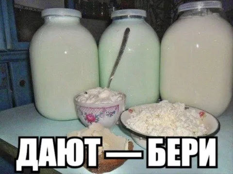 Дают — бери