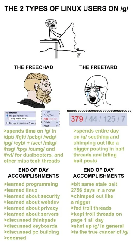 The Two Types of Linux Users