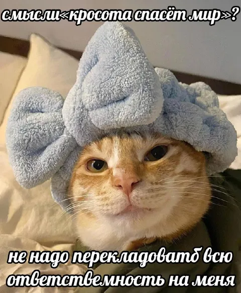 Кот в полотенце про ответственность