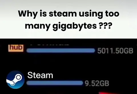 Steam Using Too Many Gigabytes