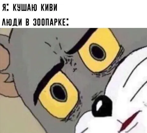 Кот смотрит на людей в зоопарке