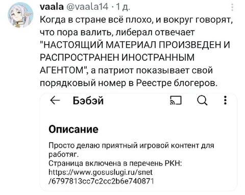 Патриот показывает номер в Реестре блогеров
